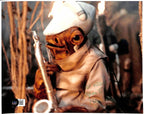 Stephen Fitzalan Mon Calamari Star Wars ROTJ Signed 8x10 Photo BECKETT0