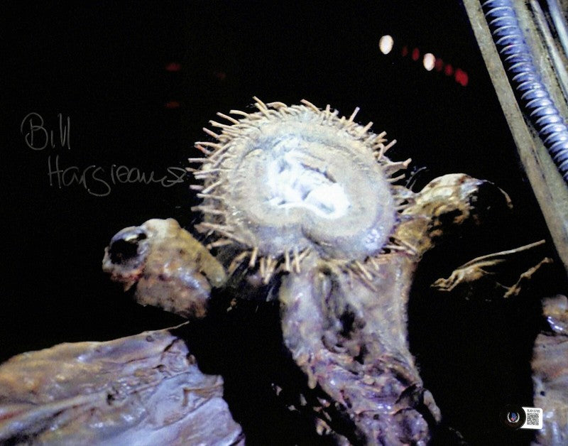 Bill Hargreaves Star Wars ESB Mynock Signed 11x14 Photograph BECKETT0