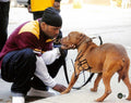 Method Man "Melvin Wagstaff" The Wire Signed 11x14 Photo BECKETT Grad Collection0