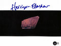 Star Wars ILM Matte Painter Harrison Ellenshaw Signed 8x10 Photo BECKETT0
