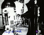 Penny McCarthy Star Wars ANH as a Jawa Signed 8x10 Photograph BECKETT0