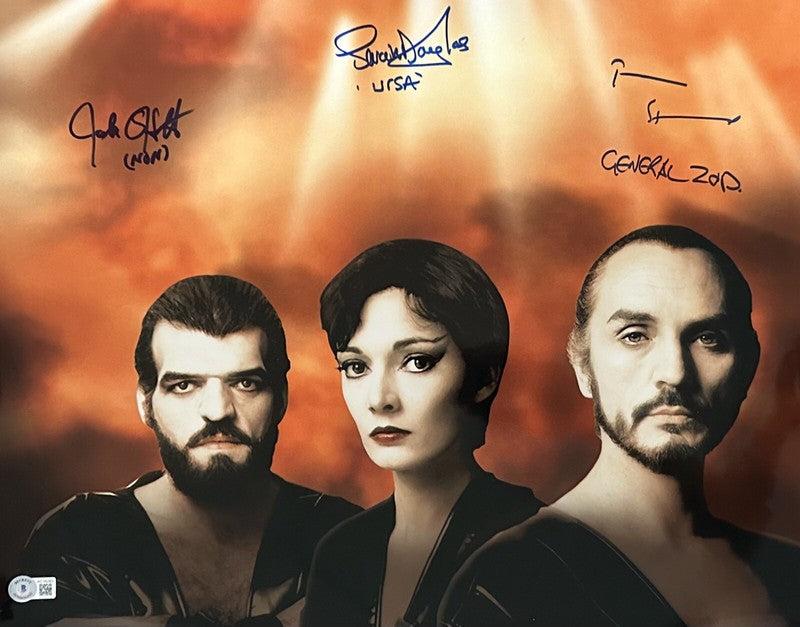 Superman II Signed Terence Stamp, Douglas & O’Halloran 16x20 Photo BAS0