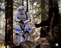 Ted Grossman Star Wars ROTJ Stormtrooper Signed 11x14 Photo BECKETT0