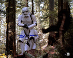 Ted Grossman Star Wars ROTJ Stormtrooper Signed 11x14 Photo BECKETT0