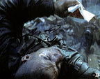 Vin Diesel Saving Private Ryan Signed 11x14 Photograph BECKETT0
