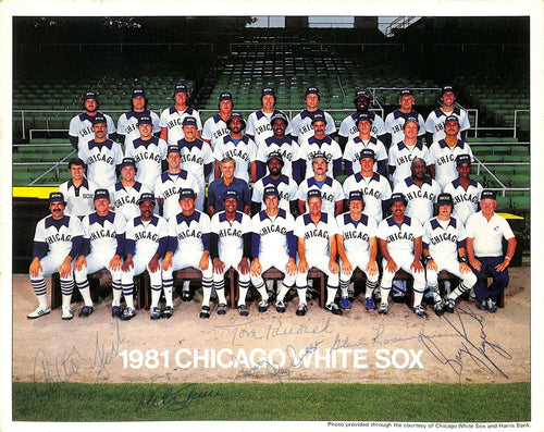 1981 Chicago White Sox team-signed Photo Fisk Luzinski Larussa Beckett0