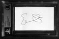 Elisabeth Shue Karate Kid Signed Index Card Beckett Slabbed Autograph0